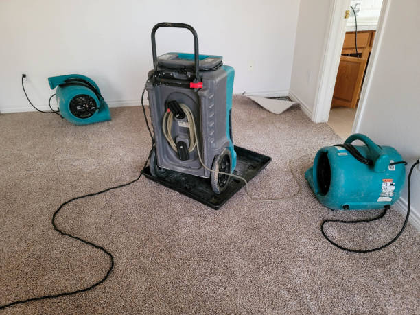 Best 24-hour water damage restoration  in Little Walnut Village, NM