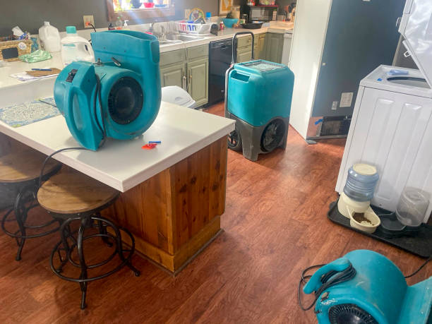 Best Sewage cleanup and water damage restoration  in Little Walnut Village, NM