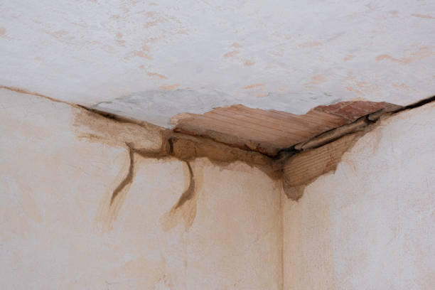 Best Water damage contractors near me  in Little Walnut Village, NM