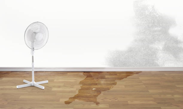 Best 24-hour water damage restoration  in Little Walnut Village, NM