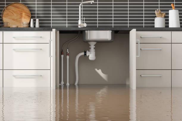 Best 24/7 water damage repair  in Little Walnut Village, NM