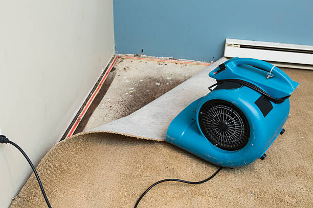 Best 24-hour water damage restoration  in Little Walnut Village, NM